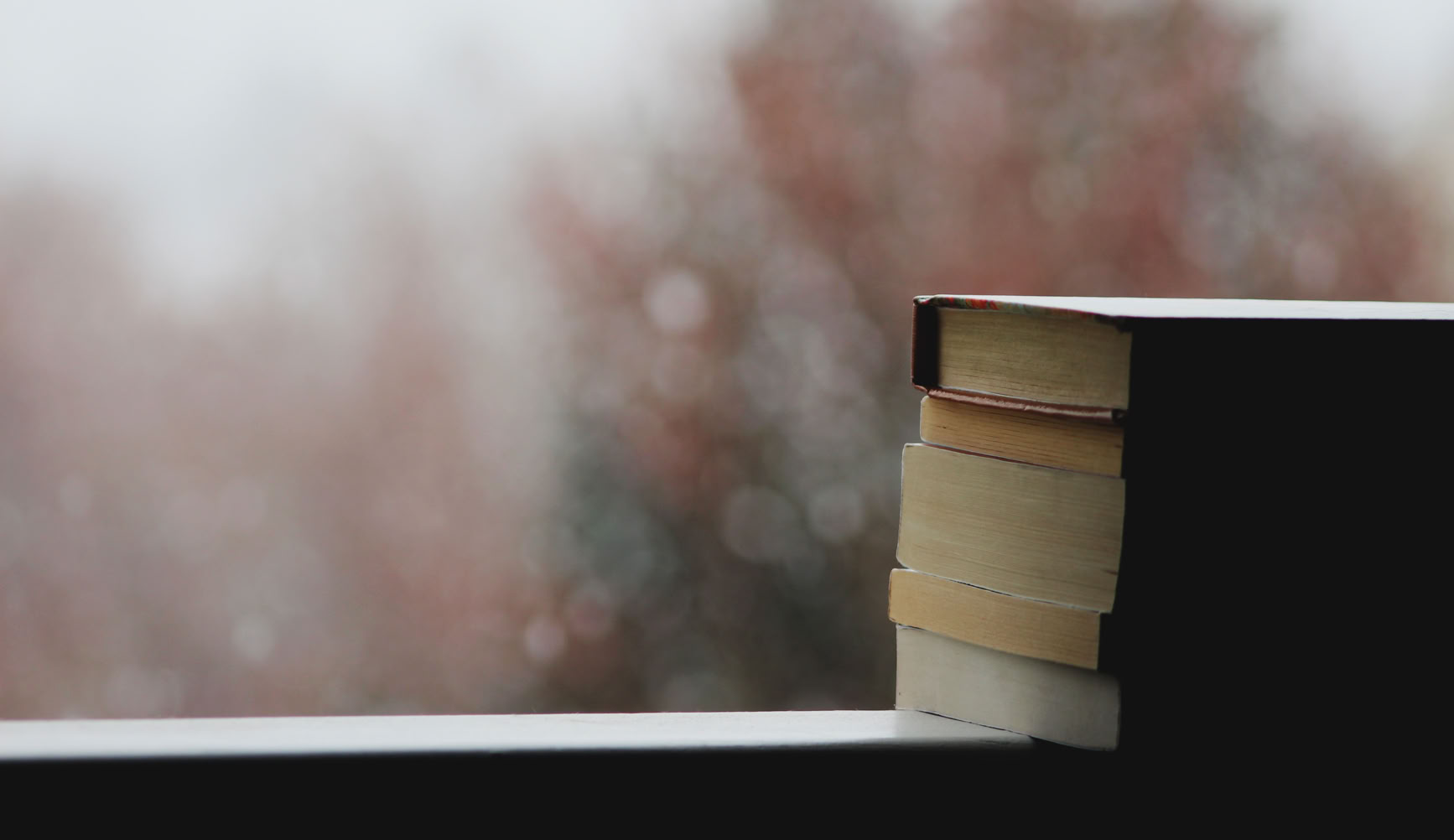 ومن الحب ما أحرق الكتب